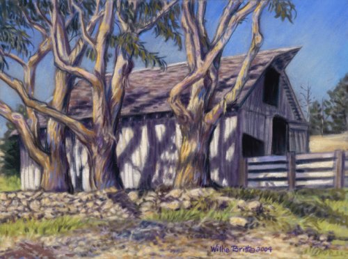 Old Barn & Eucalyptus